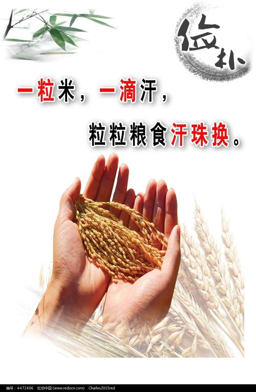 图卢兹-南比利牛斯联邦大学学士成绩单